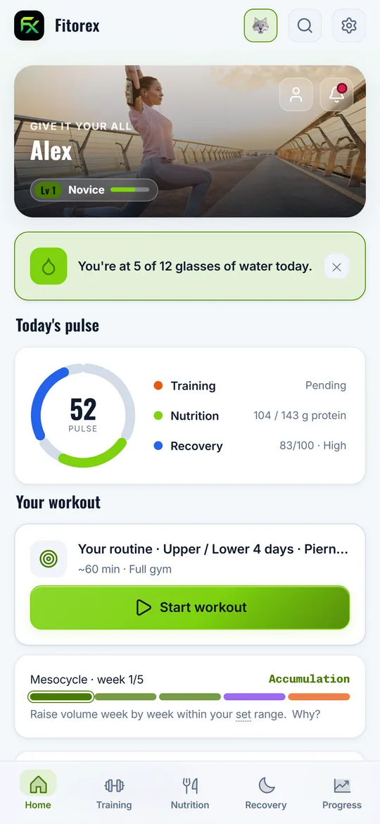 Fitorex home screen showing the daily pulse