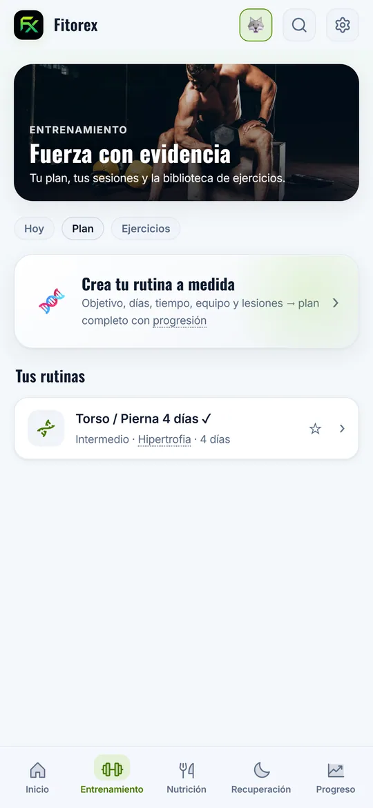 Volumen semanal por grupo muscular