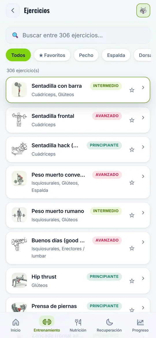 Ficha de ejercicio con animación y músculos trabajados